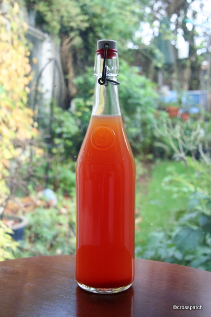 Rosehip Syrup